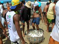 Vendita del pesce sulla spiaggia