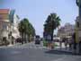 Viale con palme, nel centro di Cascais