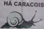 Foto relativa ad un cartello di un ristorante su cui si legge in portoghese "Abbiamo le lumache"