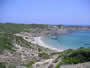 Platia d'en tortuga